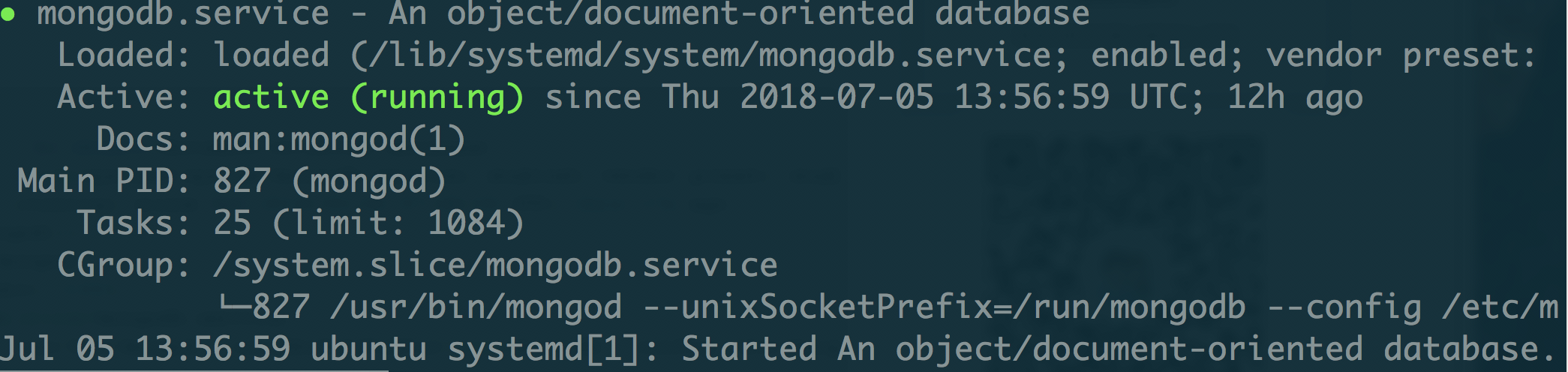 ubuntu-install-1